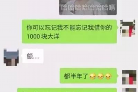 镇沅如何避免债务纠纷？专业追讨公司教您应对之策