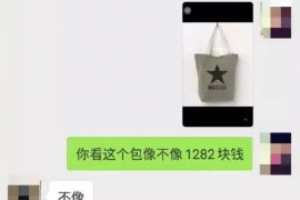 镇沅遇到恶意拖欠？专业追讨公司帮您解决烦恼